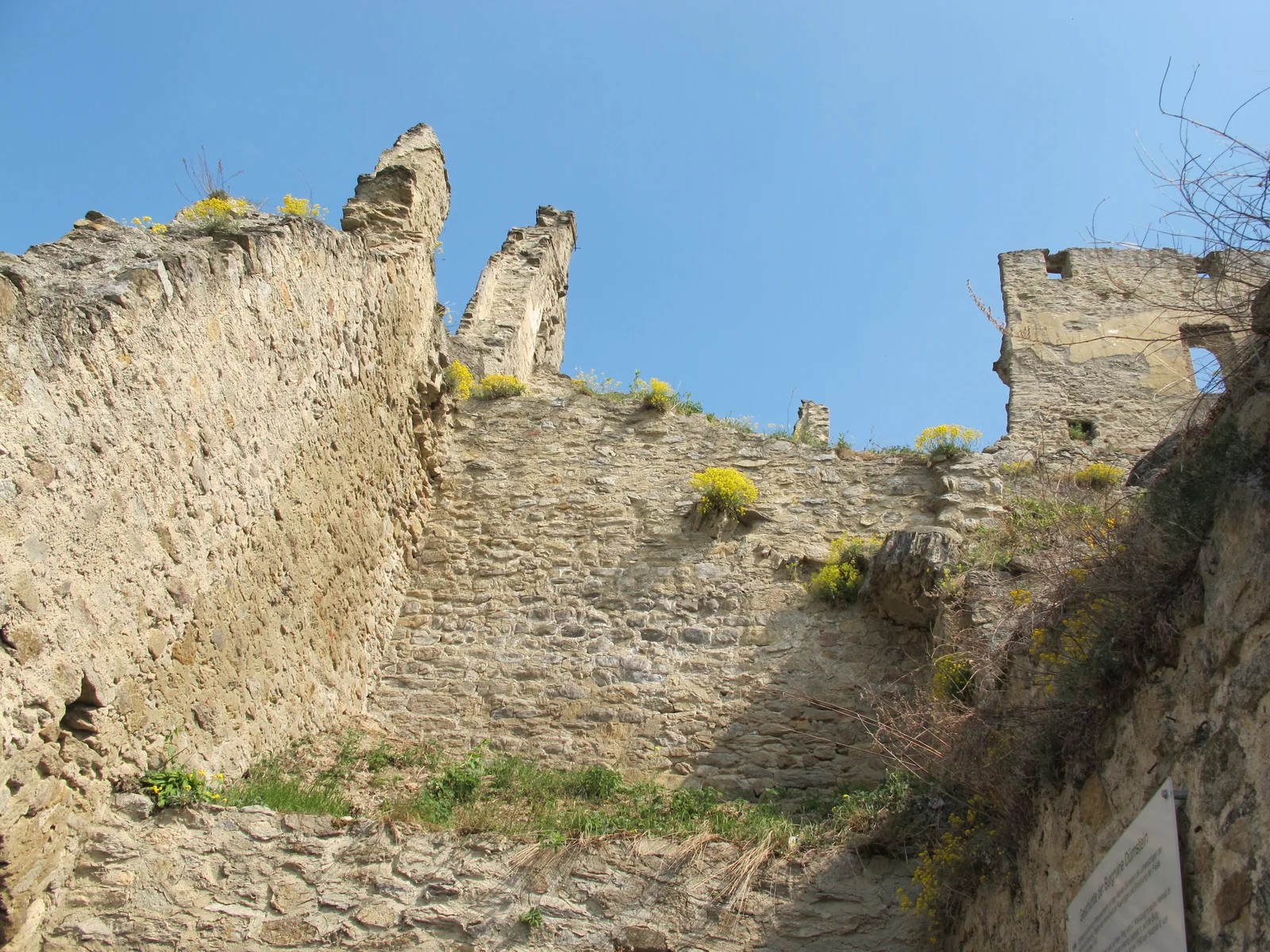 Rough stone walls and broken towers inside Dürnstein castle ruins, with small yellow flowers under a blue sky.